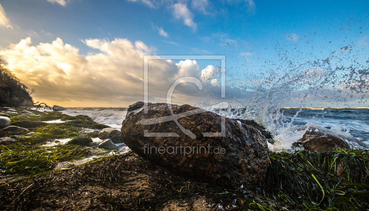 Bild-Nr.: 11528918 Ostseeküste erstellt von Photosynthese