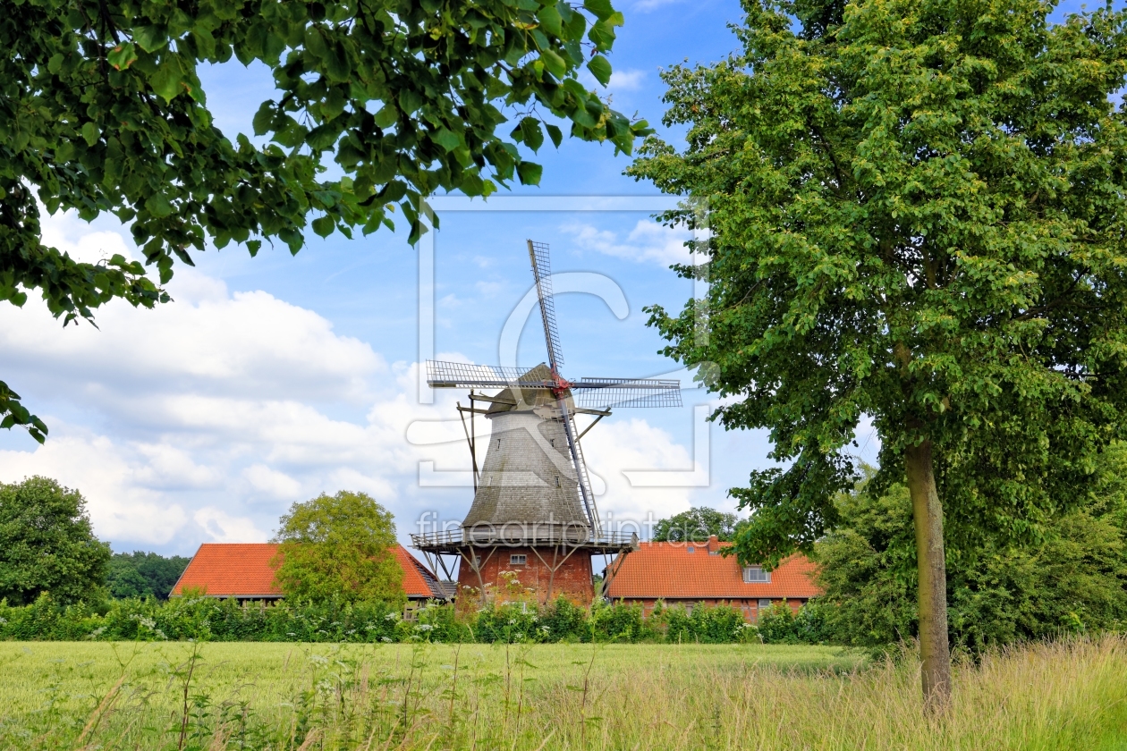Bild-Nr.: 11529558 Galerie-Holländer-Windmühle in Bothmer erstellt von Gisela Scheffbuch