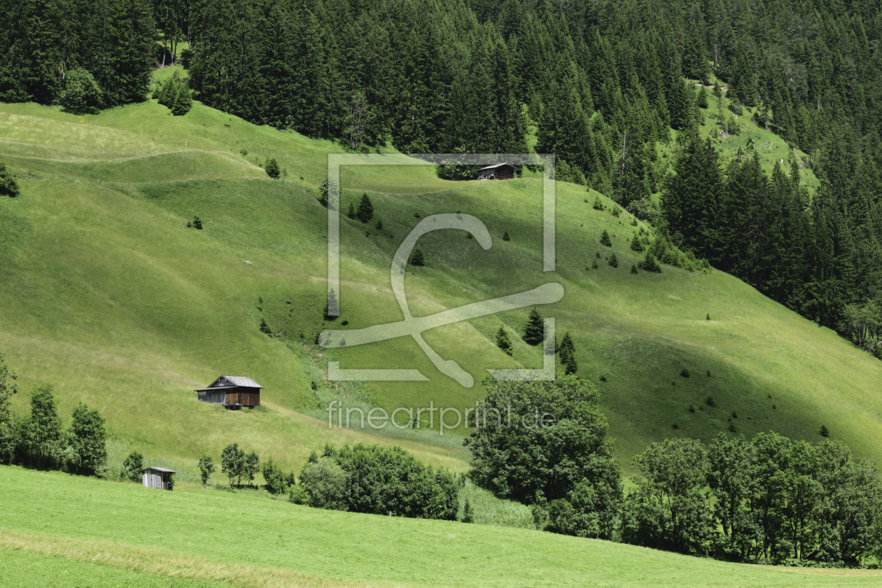 Bild-Nr.: 11530052 Auf der Alm erstellt von Karin Sigwarth