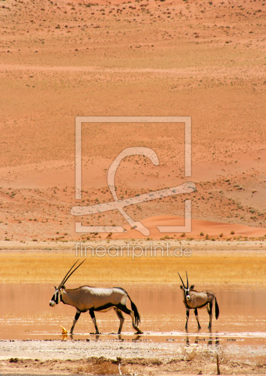 Bild-Nr.: 11531268 Fußbad in der Wüste erstellt von poncha