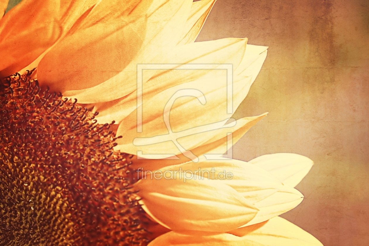 Bild-Nr.: 11532050 Sonnenblume erstellt von youhaveadream