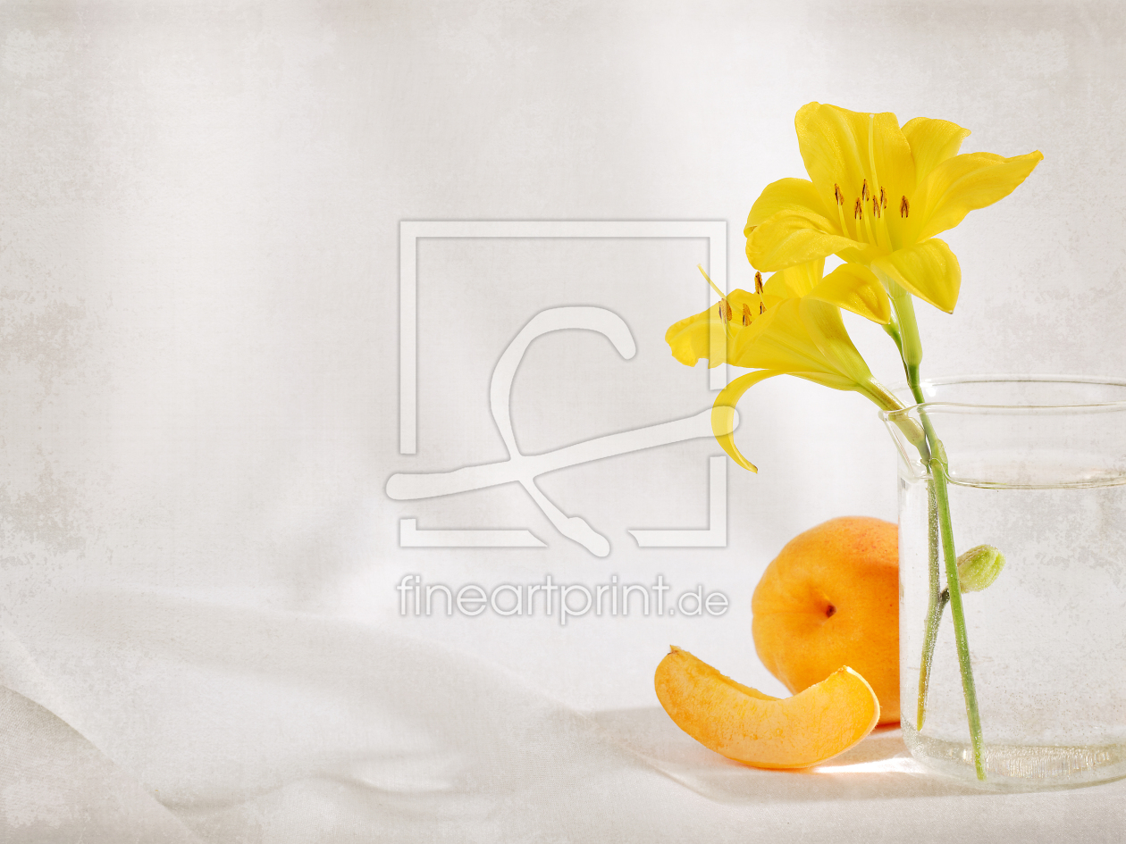 Bild-Nr.: 11532132 sunny afternoon Bild-Nr.: 11532132 sunny afternoon erstellt von Rolf Eschbach