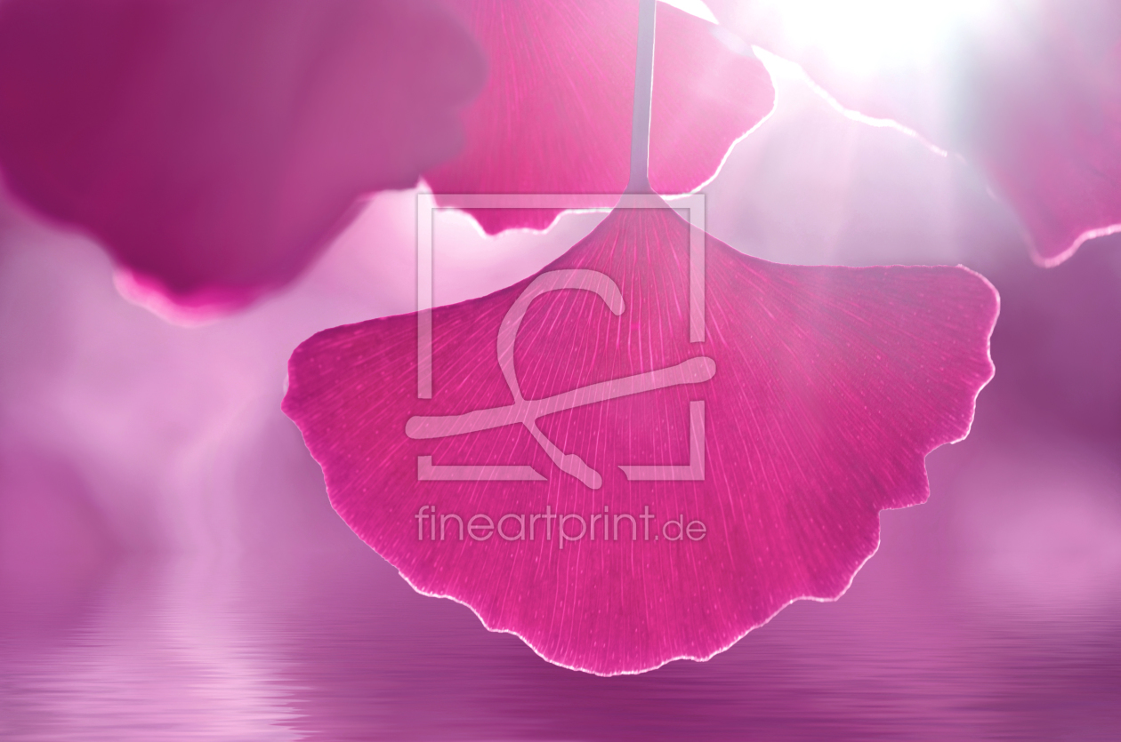 Bild-Nr.: 11532620 Pink Bild-Nr.: 11532620 Pink erstellt von Atteloi