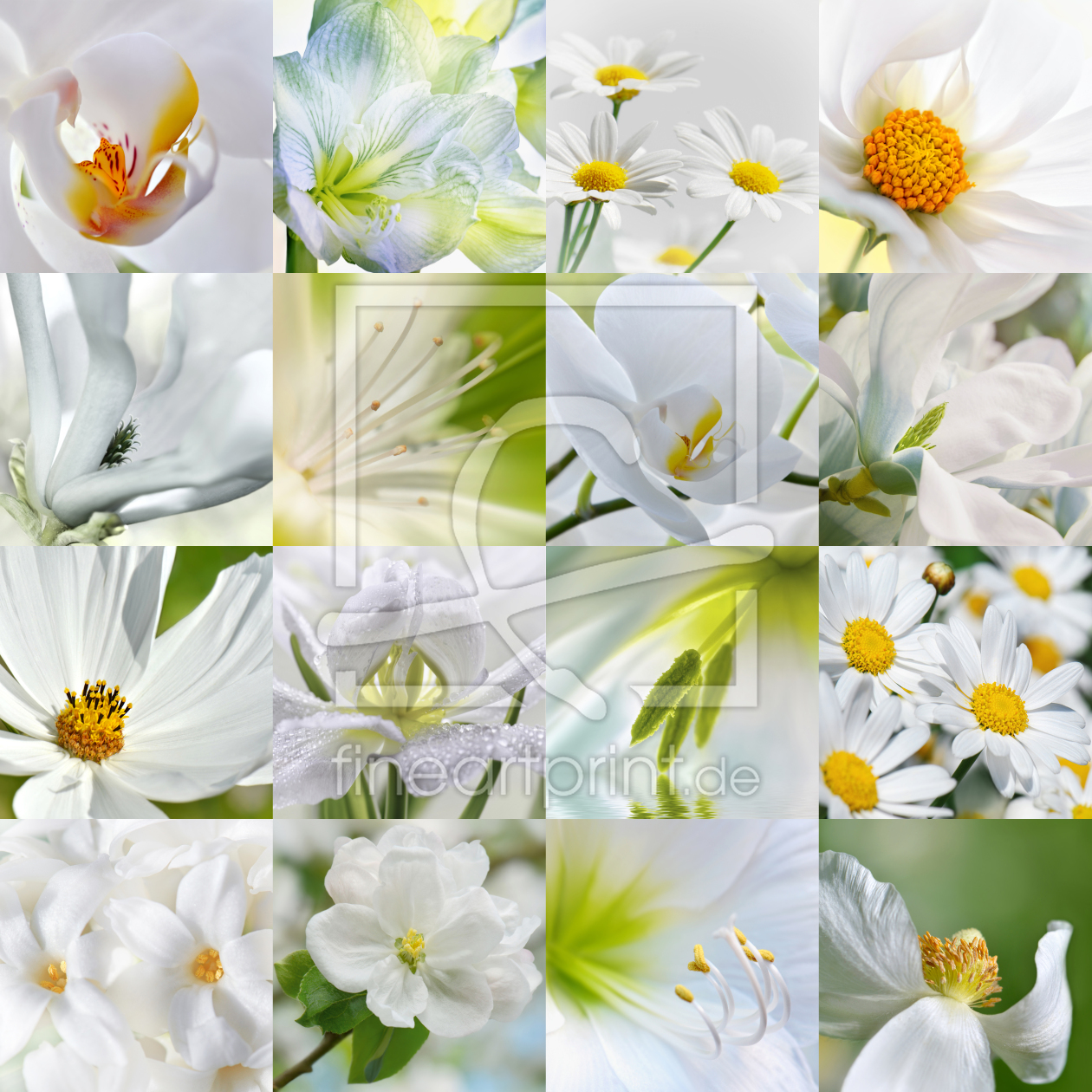 Bild-Nr.: 11532734 Blumen erstellt von Atteloi