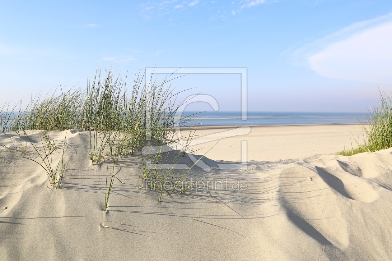 Bild-Nr.: 11532888 Baltrum  Dünen & Meer erstellt von Ursula Reins