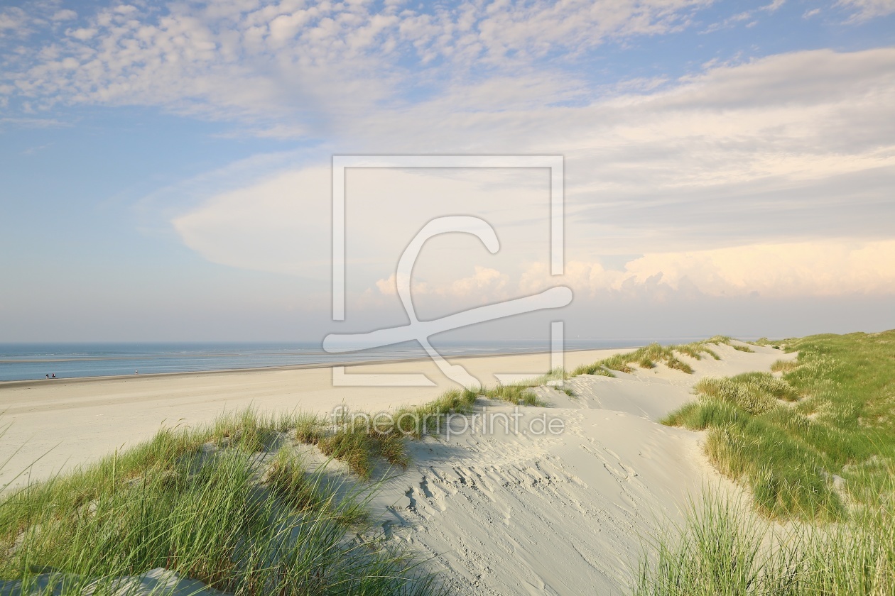 Bild-Nr.: 11532892 Baltrum .. Dünenlandschaft erstellt von Ursula Reins