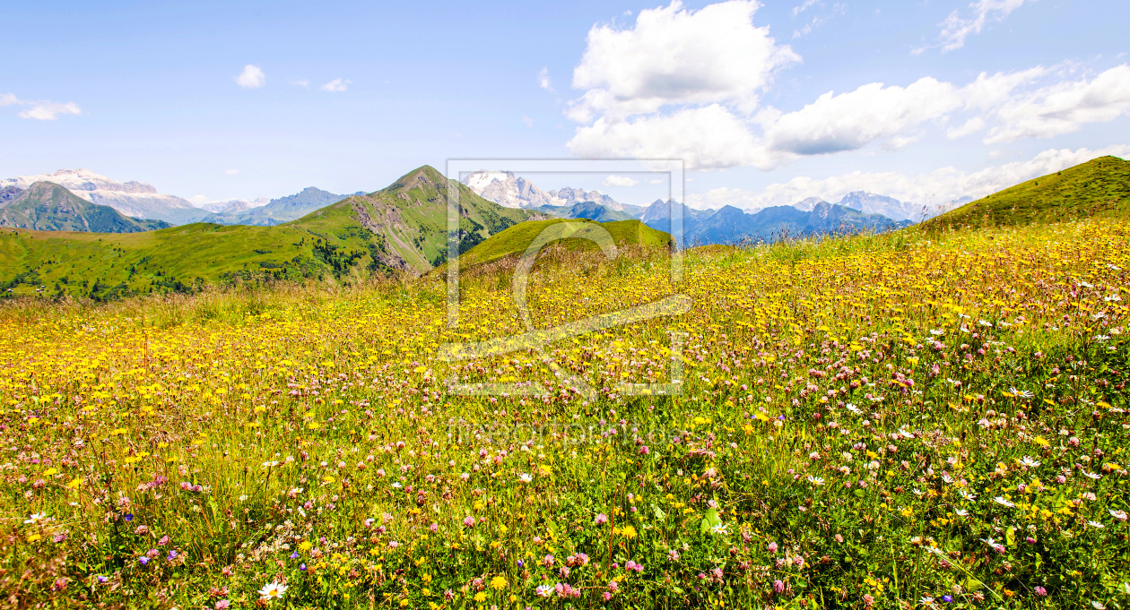 Bild-Nr.: 11533440 Sommer in den Dolomiten erstellt von wompus