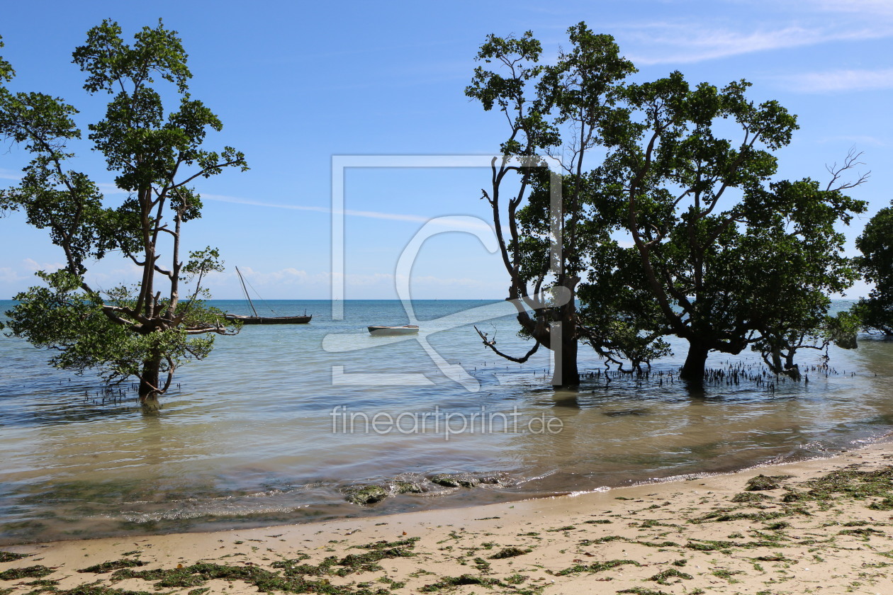 Bild-Nr.: 11533990 Sansibar - Strand mit Mangroven und Fischerbooten bei den Mbweni Ruinen erstellt von carocita