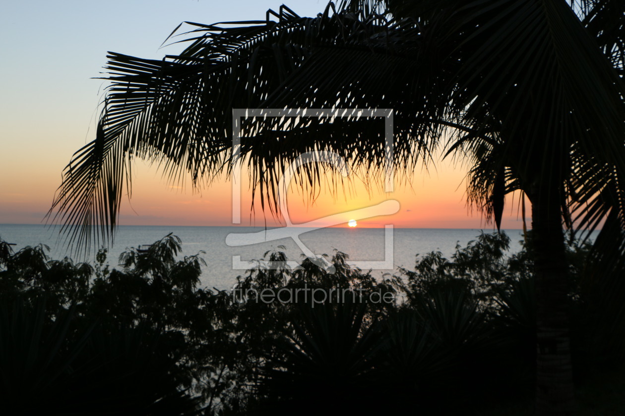 Bild-Nr.: 11534006 Sonnenuntergang über dem Indischen Ozean mit Palmwedel auf Sansibar erstellt von carocita