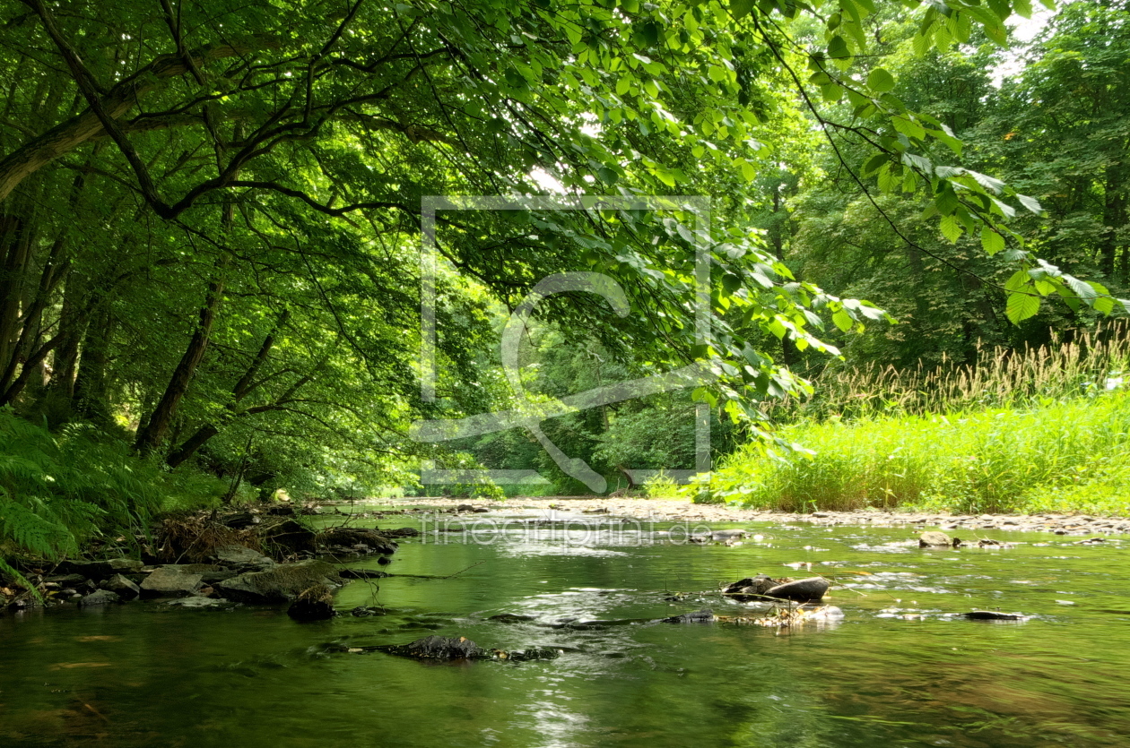 Bild-Nr.: 11534452 Sommer am Fluss erstellt von Bianca Schumann