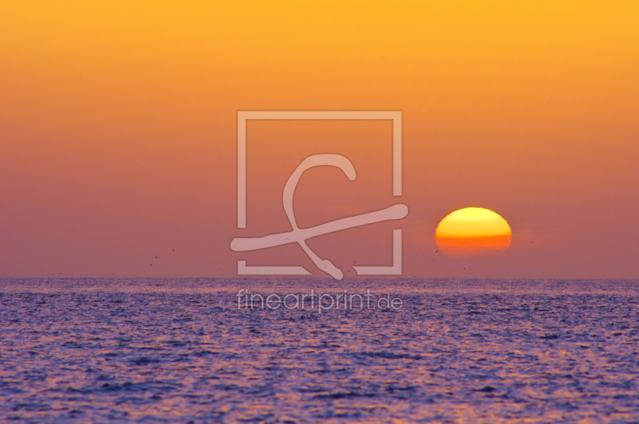 Bild-Nr.: 11534668 Sunset - Insel Amrum erstellt von Angela  Dölling