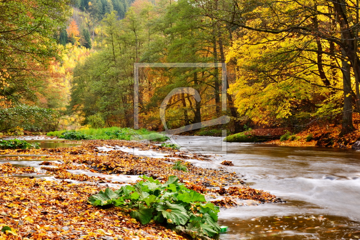 Bild-Nr.: 11540162 Herbstlich erstellt von Bianca Schumann