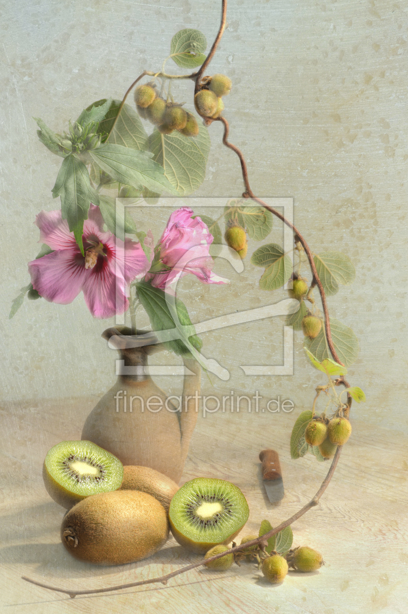 Bild-Nr.: 11540322 Stillleben mit Kiwifrüchten erstellt von Rolf Eschbach