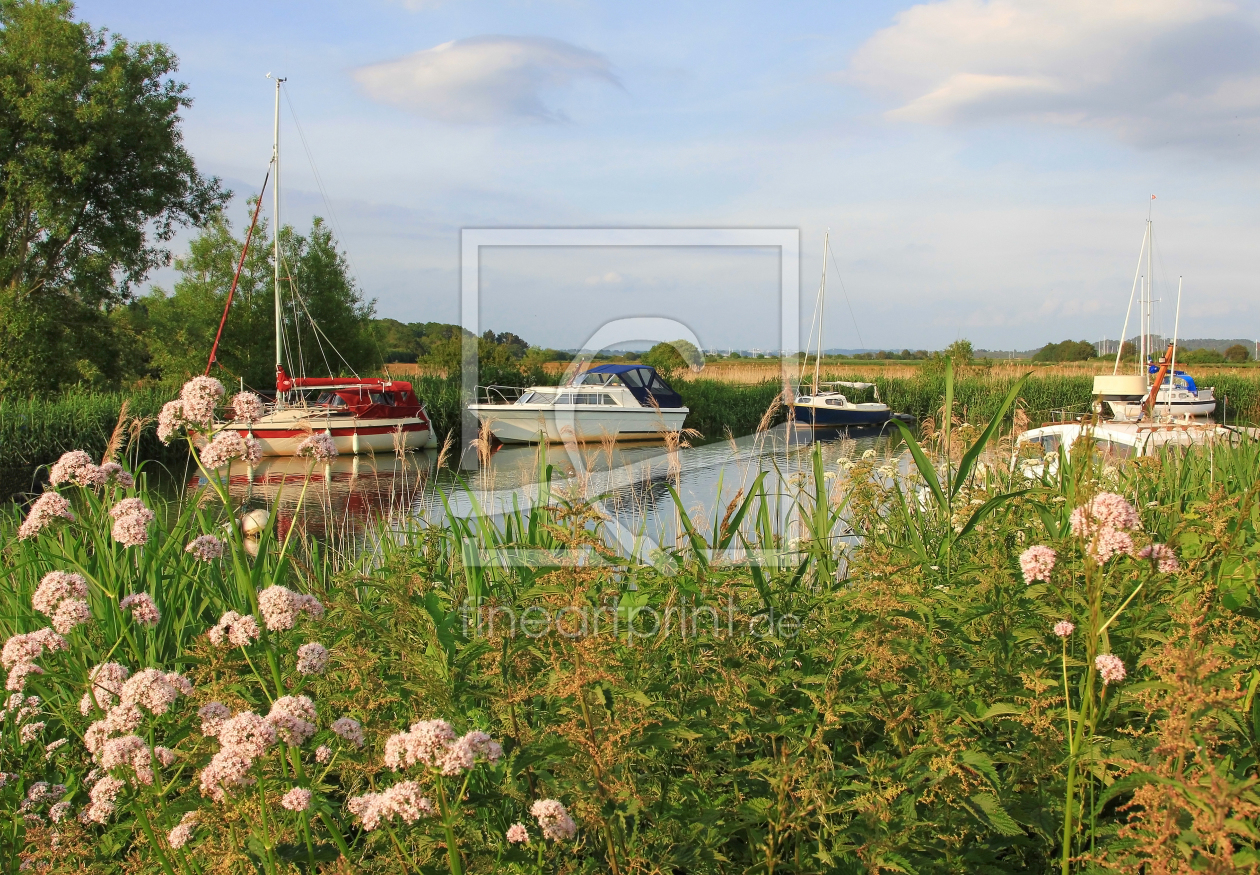 Bild-Nr.: 11542376 Boote am River Frome, Dorset erstellt von SusaZoom