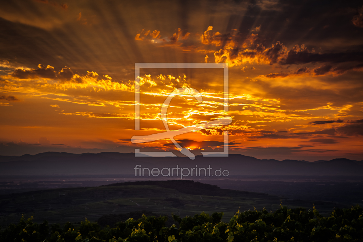 Bild-Nr.: 11542602 Sonnenuntergang am Kaiserstuhl - reloaded erstellt von Lichtklicker