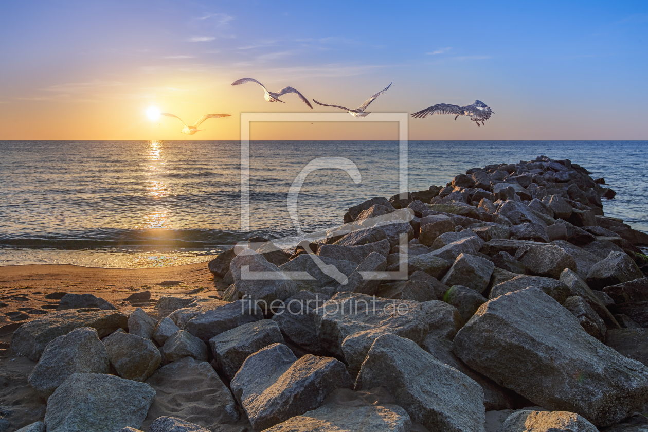 Bild-Nr.: 11542762 Sundowner Bild-Nr.: 11542762 Sundowner erstellt von David Gärtner