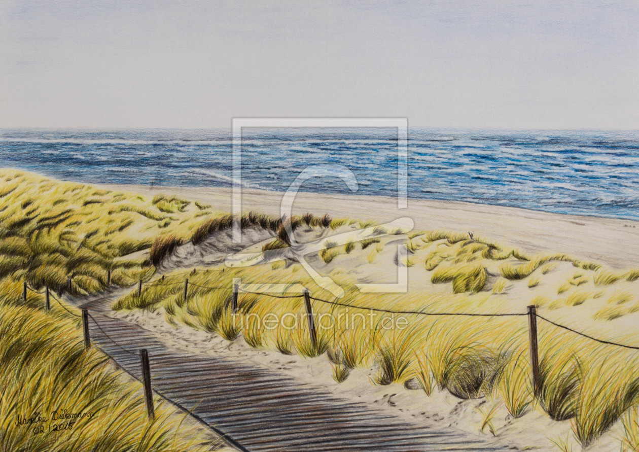 Bild-Nr.: 11542796 Weg zum Strand auf Spiekeroog- Zeichnung mit Polychromosfarbstiften erstellt von GingitFineArt