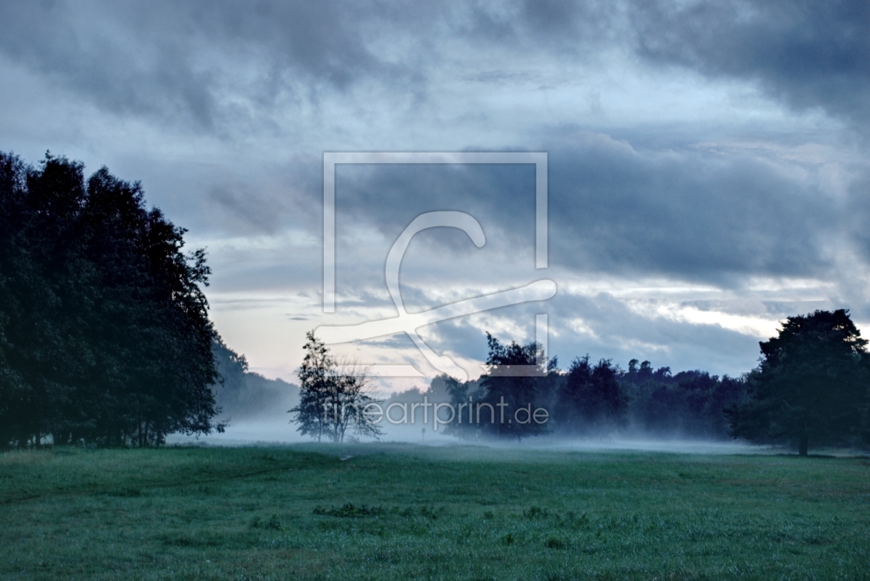 Bild-Nr.: 11543016 Morgennebel erstellt von edigeier