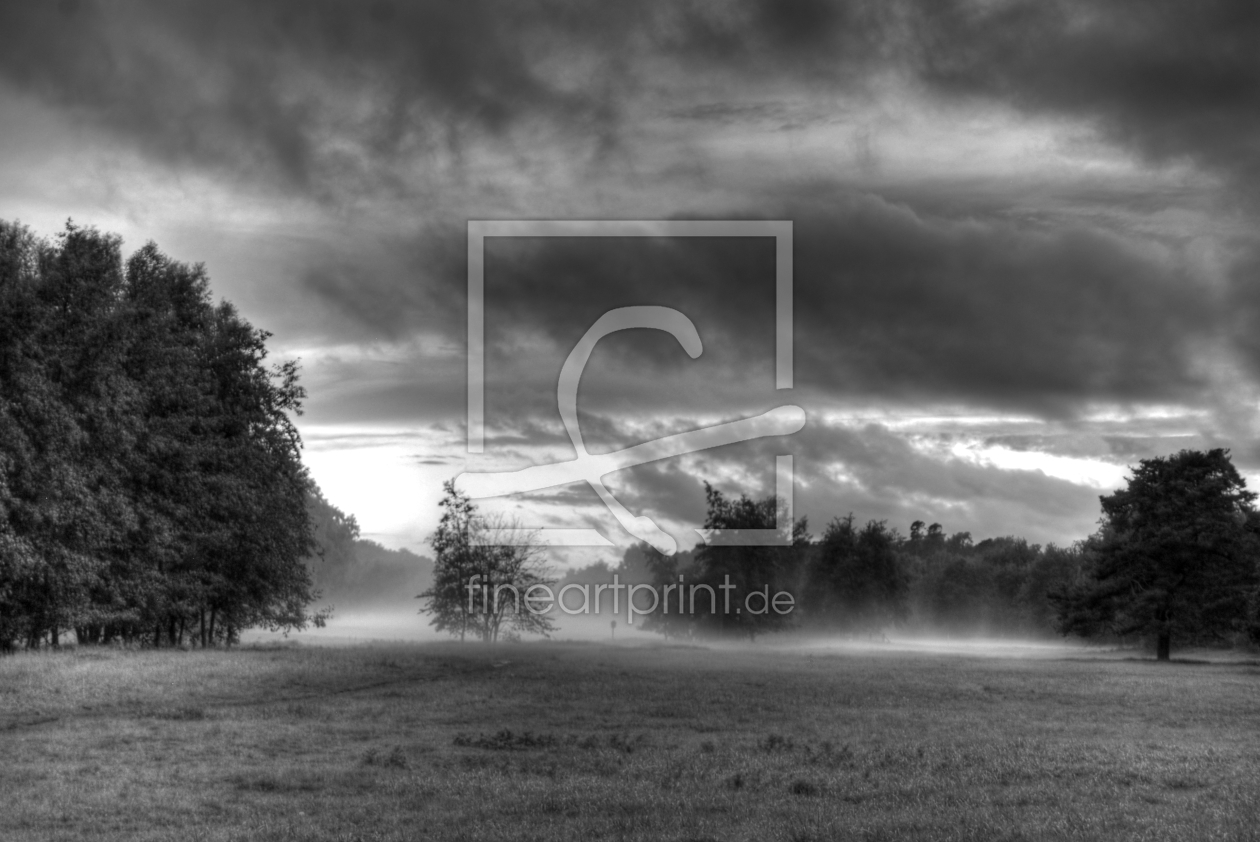 Bild-Nr.: 11543022 Morgennebel schwarzweiß erstellt von edigeier