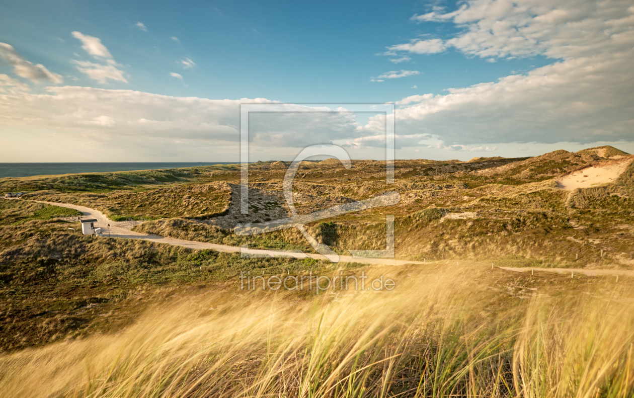 Bild-Nr.: 11544066 Dünenlandschaft bei Kampen Bild-Nr.: 11544066 Dünenlandschaft bei Kampen erstellt von Nordbilder
