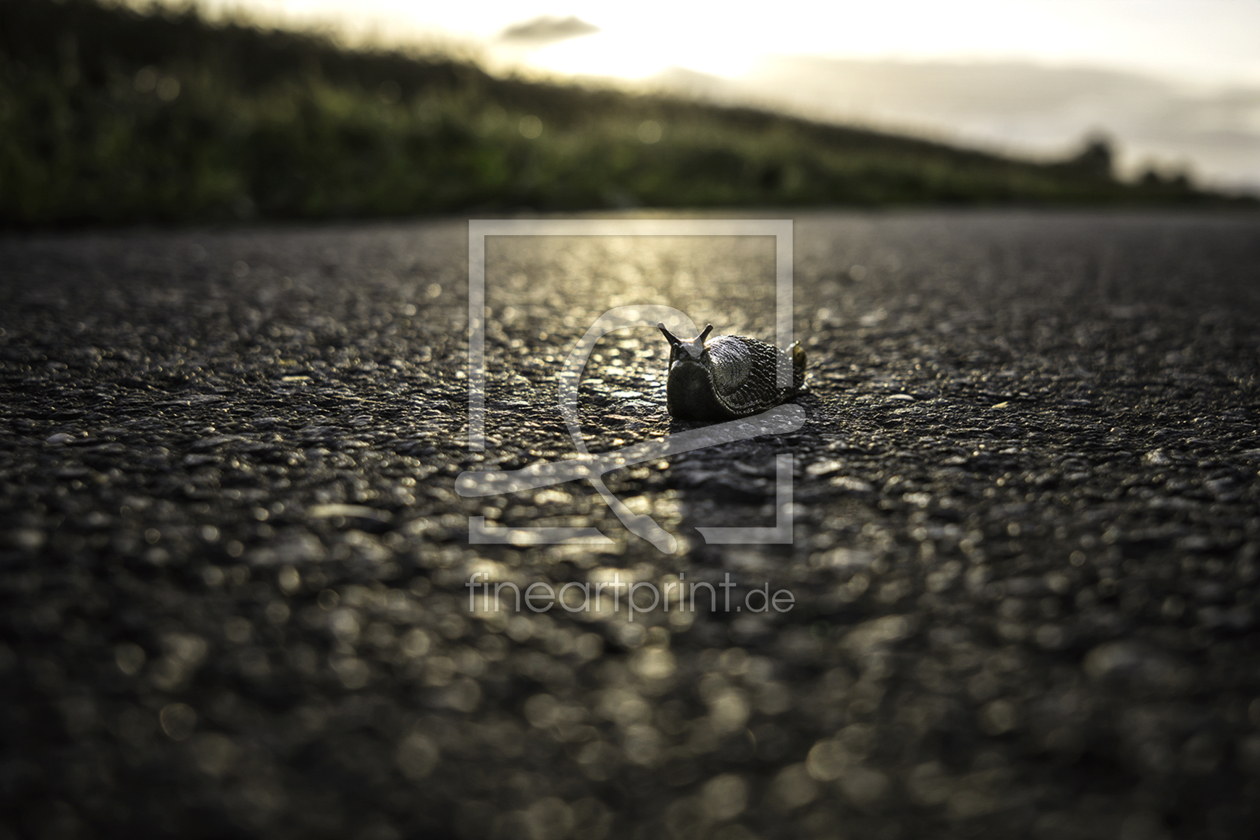 Bild-Nr.: 11544422 Der lange Weg aus der Sonne Bild-Nr.: 11544422 Der lange Weg aus der Sonne erstellt von KundenNr-294012
