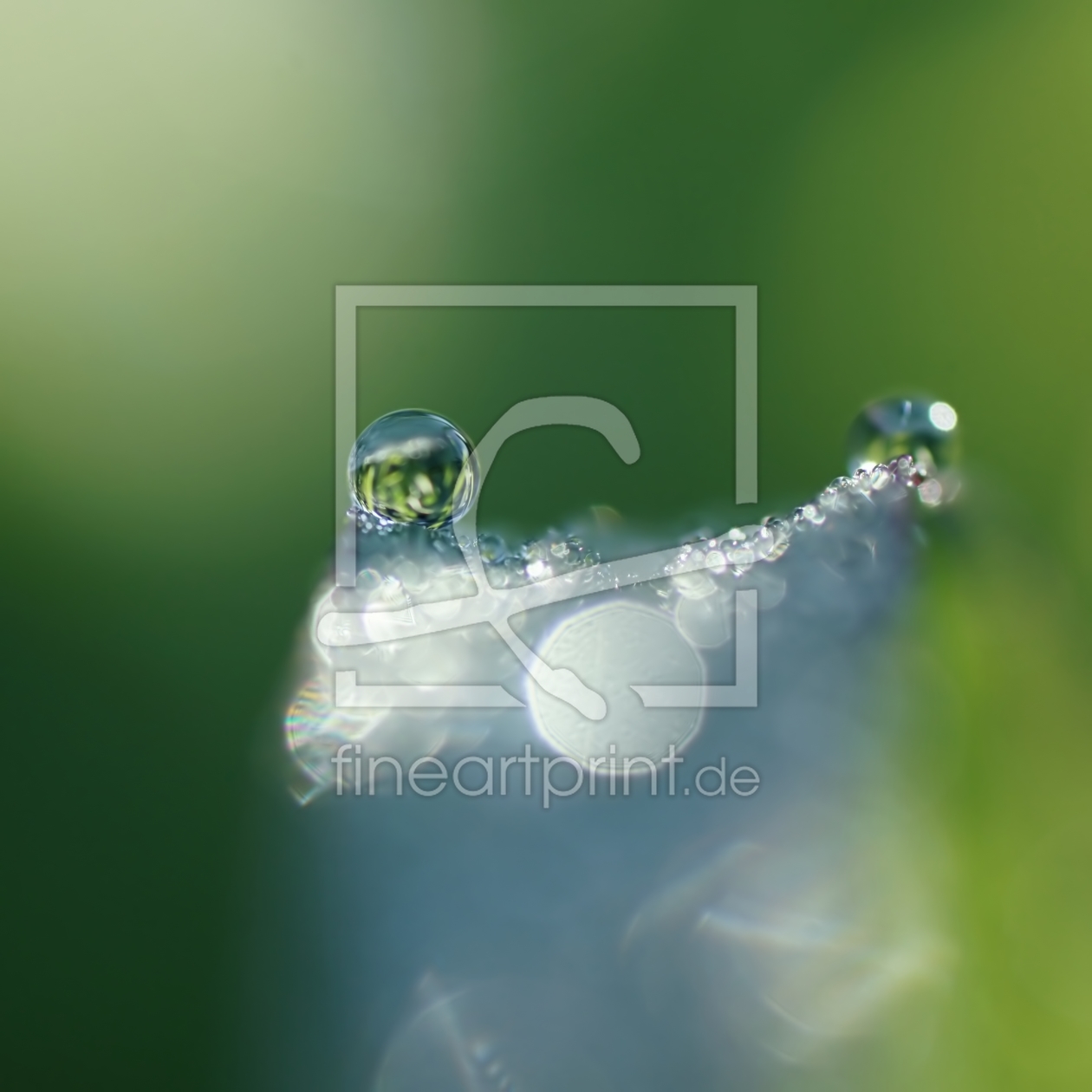 Bild-Nr.: 11544446 Morgentau Bild-Nr.: 11544446 Morgentau erstellt von youhaveadream