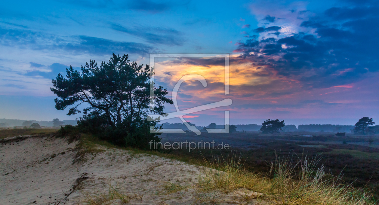 Bild-Nr.: 11544694 Hiddensee Wanderdünen erstellt von Jens-Gottschalk