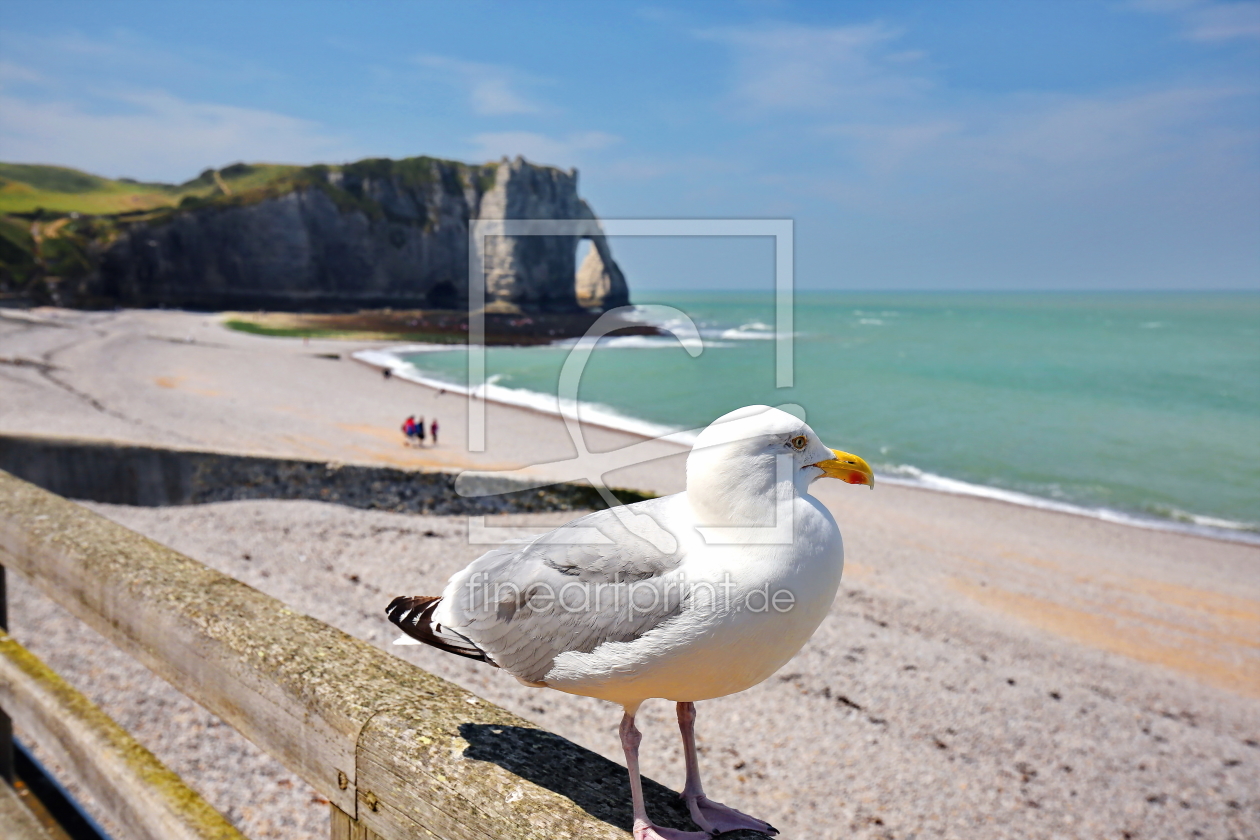 Bild-Nr.: 11545626 Etretat erstellt von fotoping