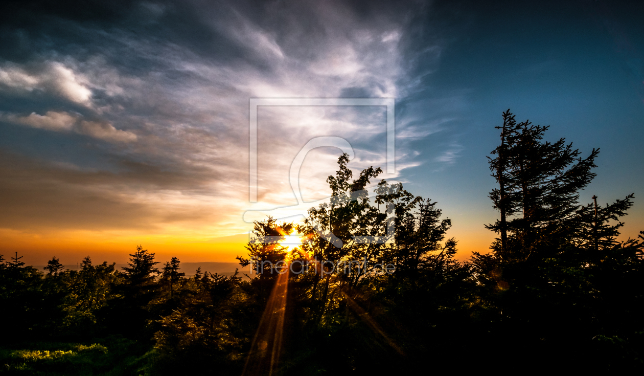 Bild-Nr.: 11546946 Durchblick Bild-Nr.: 11546946 Durchblick erstellt von Steffen Henze