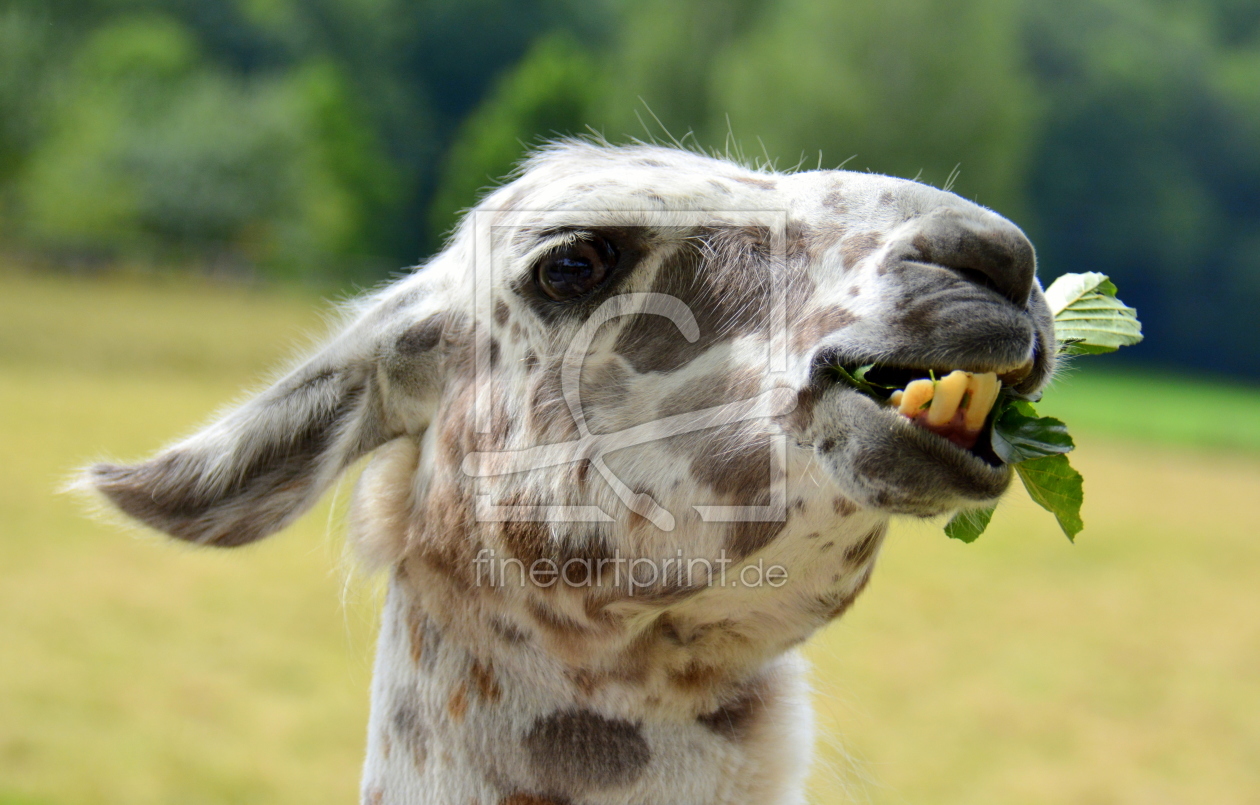 Bild-Nr.: 11547428 .. mir schmeckts !! .. erstellt von GUGIGEI