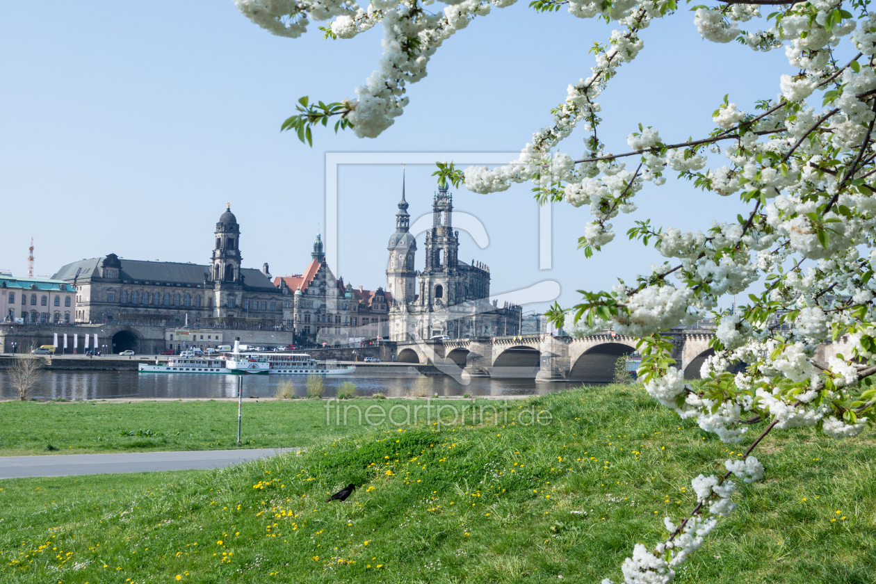 Bild-Nr.: 11548498 Frühling in Dresden erstellt von MM-Pics