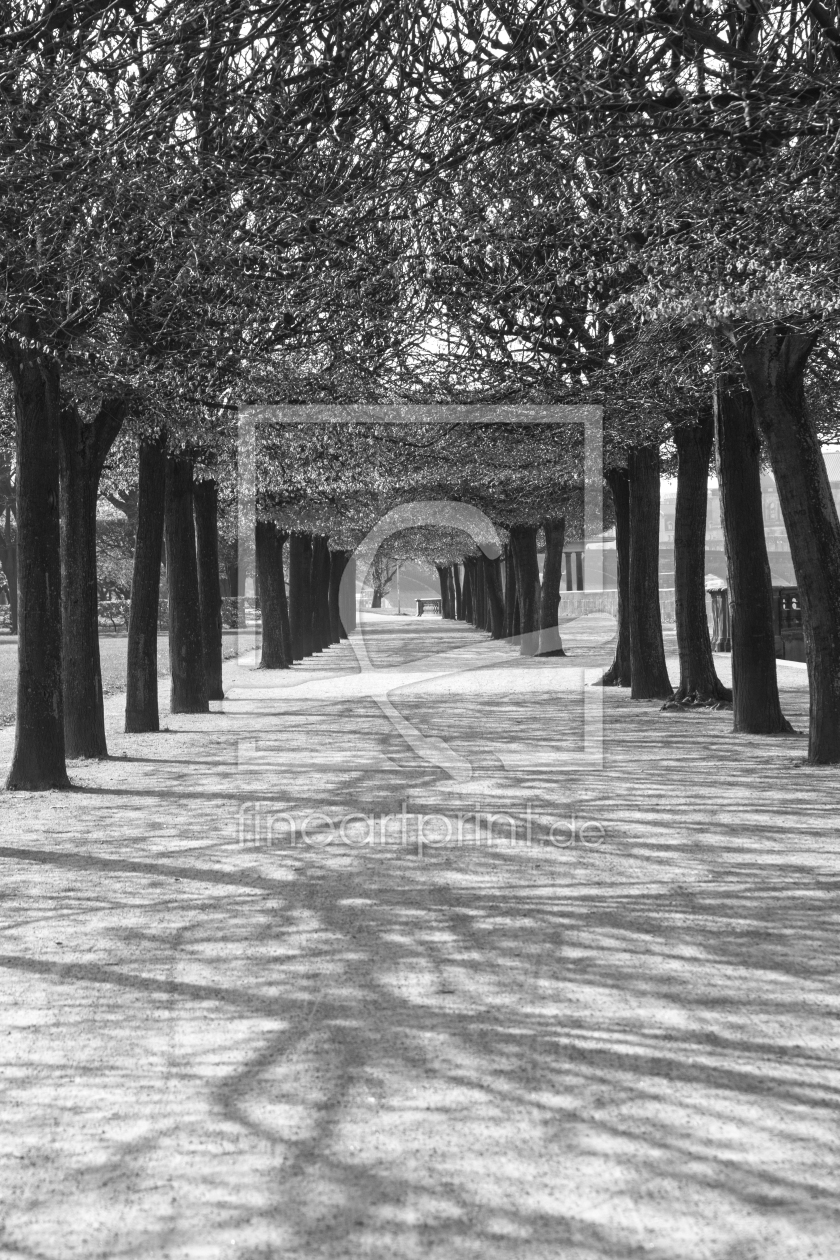 Bild-Nr.: 11548504 dieser Weg... erstellt von MM-Pics