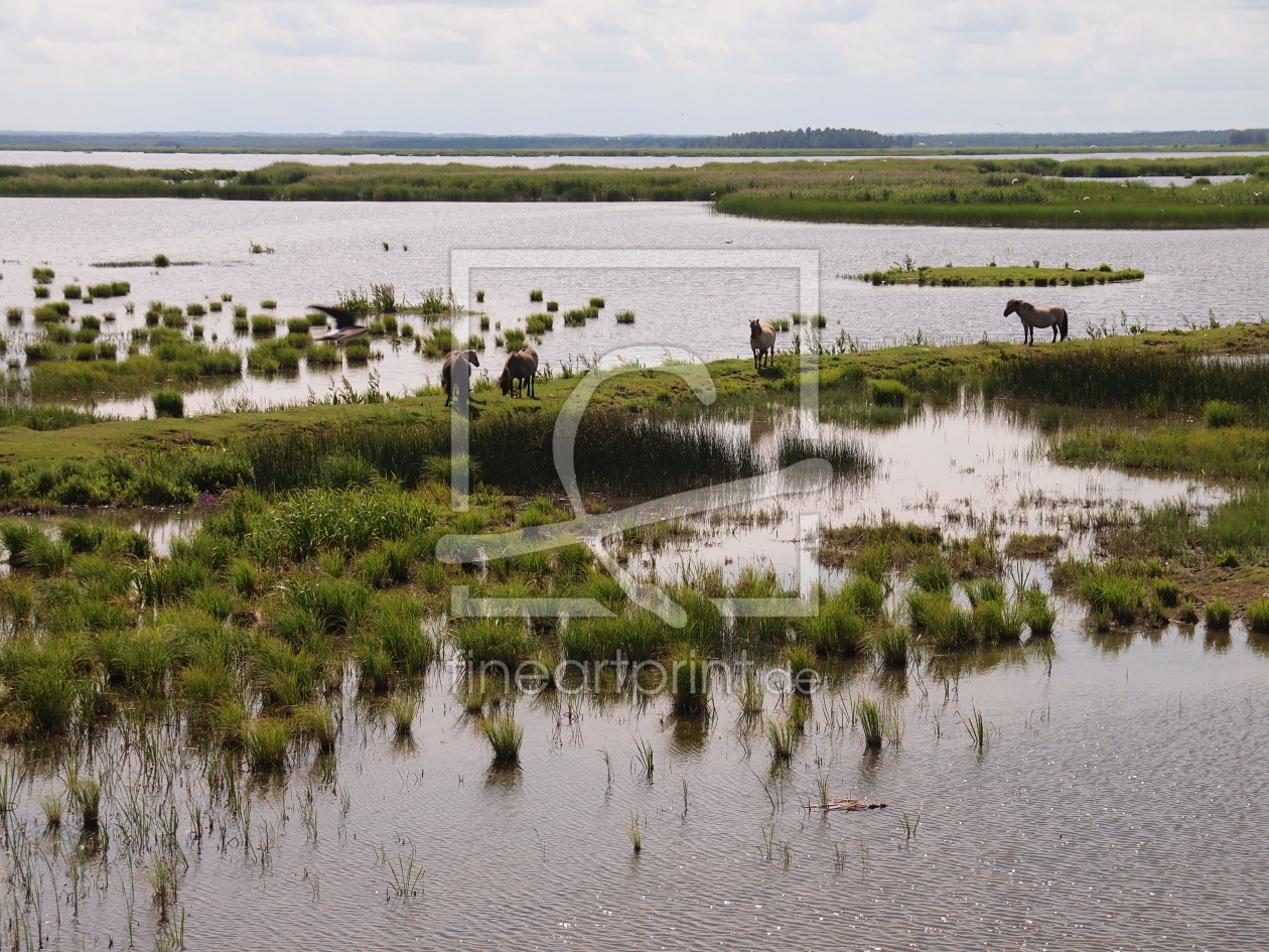 Bild-Nr.: 11549294 Nationalpark Kemeri-Lettland erstellt von StefanT