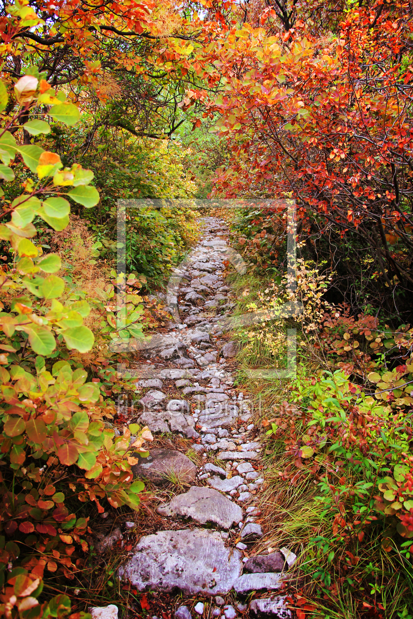 Bild-Nr.: 11551368 herbstlicher Wanderweg am Monte Baldo erstellt von SusaZoom