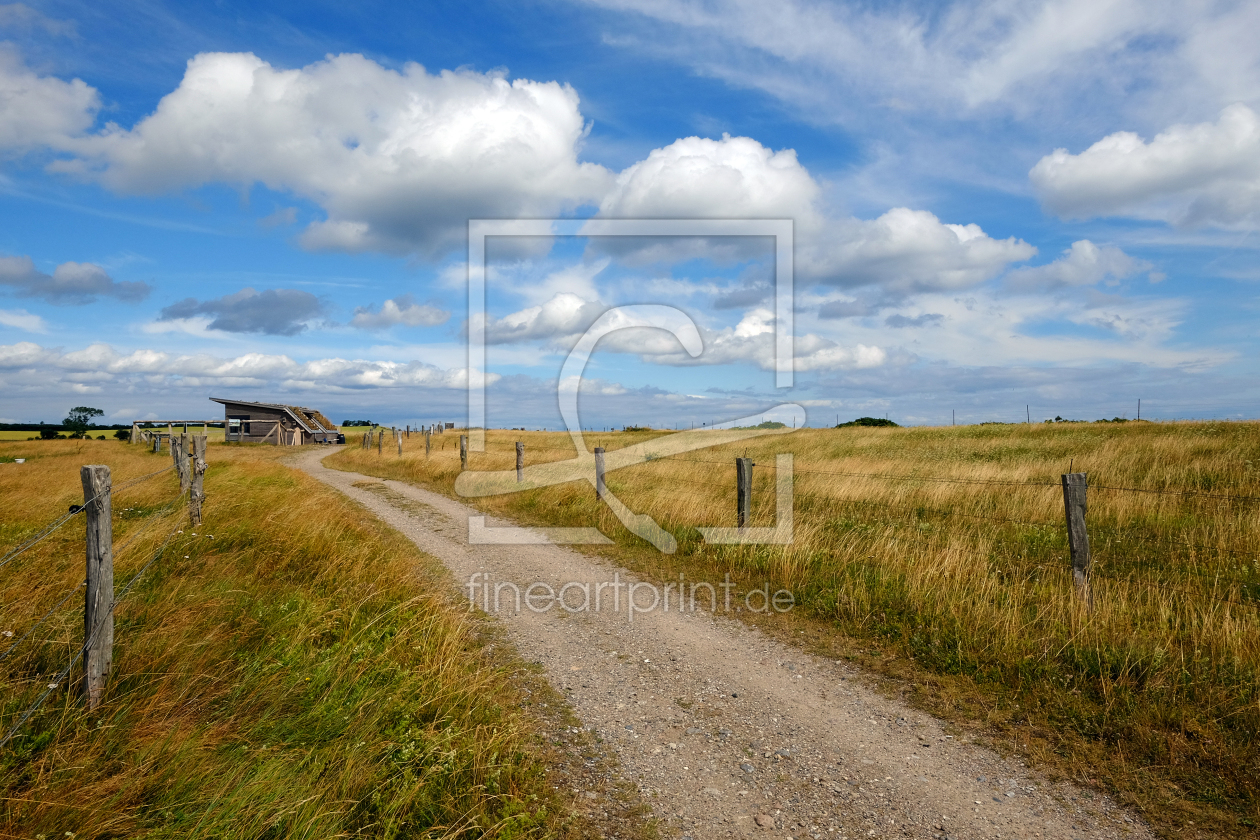 Bild-Nr.: 11552862 Wanderweg bei Schönhagen erstellt von Ostfriese