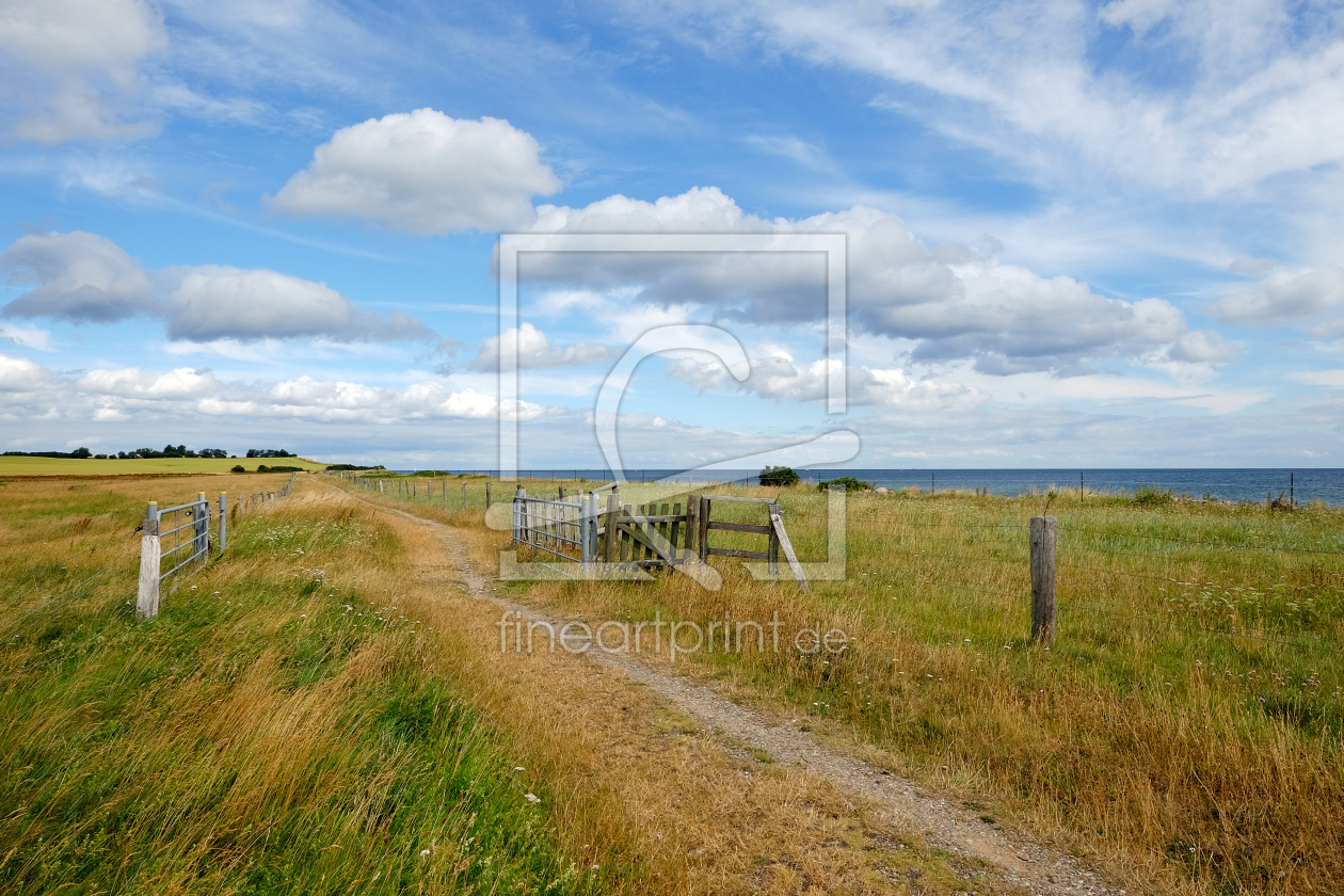 Bild-Nr.: 11552868 Naturschutzgebiet bei Schönhagen erstellt von Ostfriese