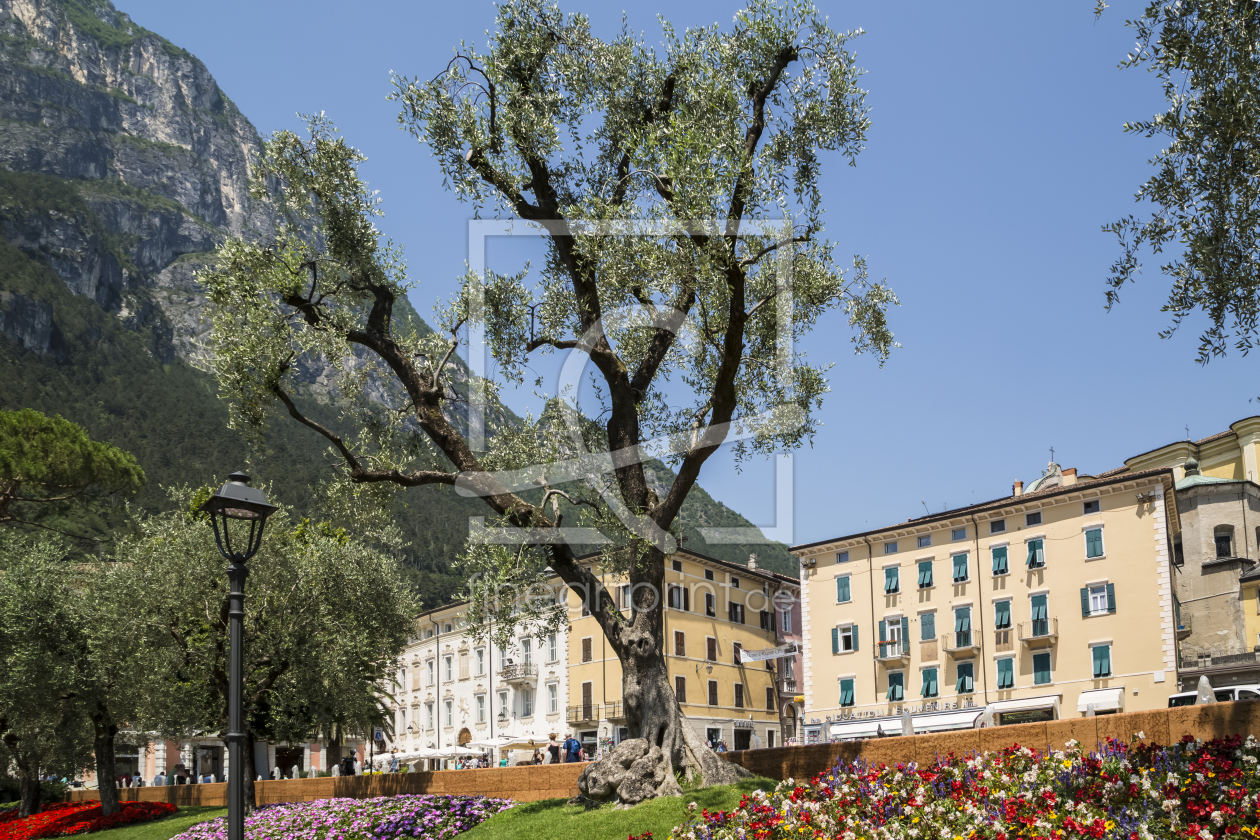 Bild-Nr.: 11553480 GARDASEE Riva del Garda erstellt von Melanie Viola