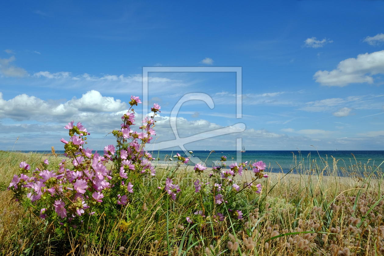 Bild-Nr.: 11554120 Ostseeküste bei Schönhagen erstellt von Ostfriese