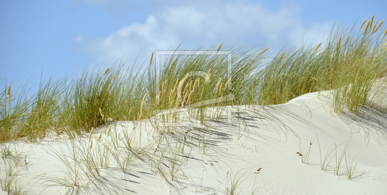 Bild-Nr.: 11554544 Dünenwind erstellt von GUGIGEI