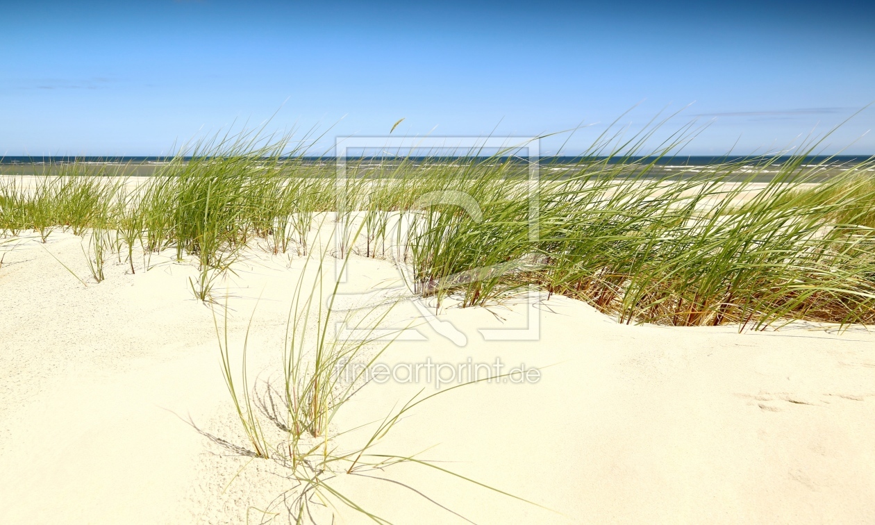 Bild-Nr.: 11555540 Nordseestrand Bild-Nr.: 11555540 Nordseestrand erstellt von Ursula Reins