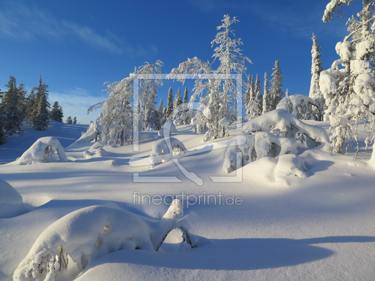 Bild-Nr.: 11556036 Finnischer Winter erstellt von EntdeckungsReise