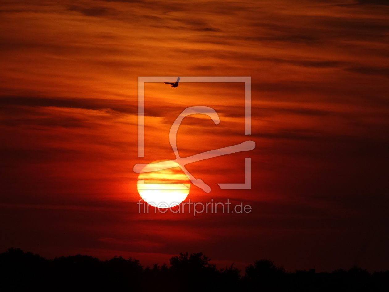 Bild-Nr.: 11556078 Sonnenuntergang erstellt von SchmusisPhotoStore