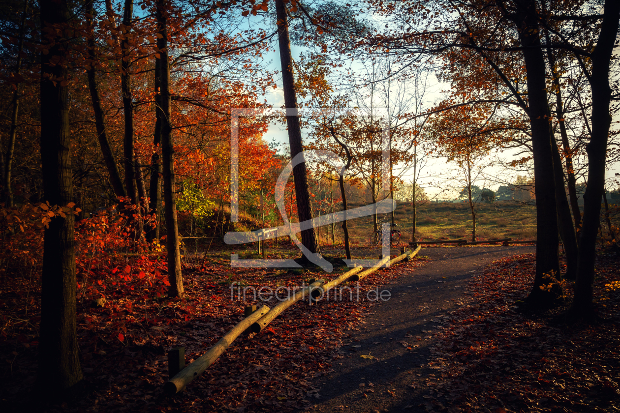 Bild-Nr.: 11556833 Haltern am See im Herbst erstellt von CGFOTO