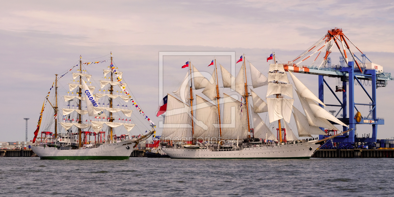 Bild-Nr.: 11557272 Gloria und Esmeralda bei der  Liegeortung erstellt von Ostfriese