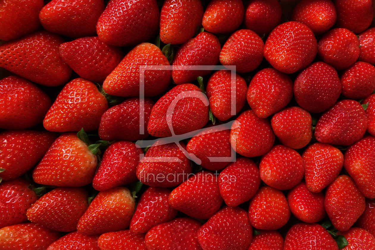 Bild-Nr.: 11557606 Erdbeeren, formatfüllend erstellt von Darlya