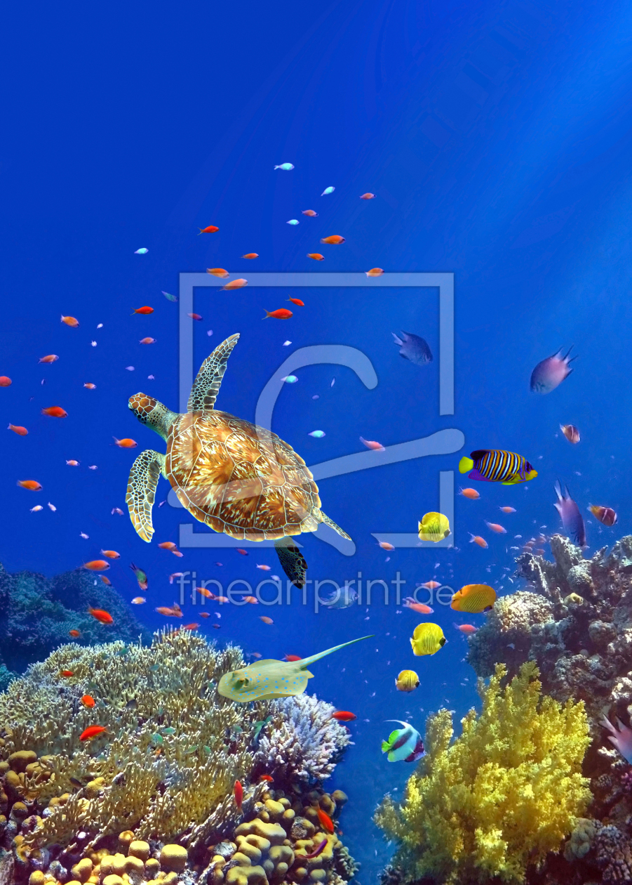 Bild-Nr.: 11559970 Sealife Hochformat erstellt von Tina Melz