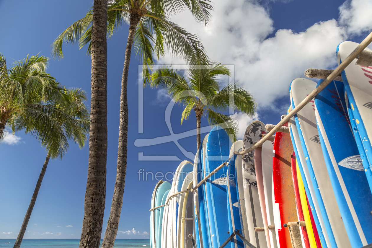 Bild-Nr.: 11560454 Colorful surf boards with palm trees. erstellt von Antonov