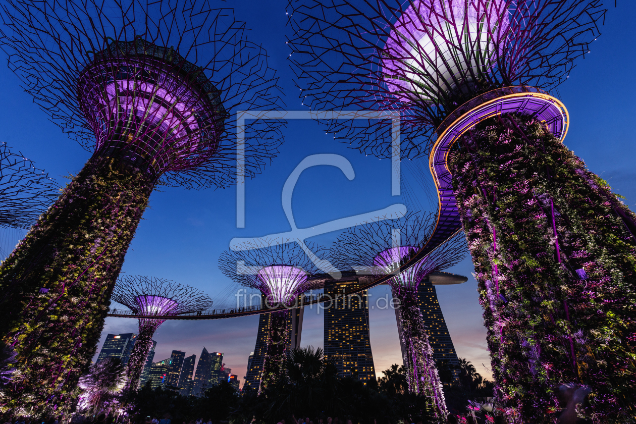 Bild-Nr.: 11560924 Garden by the Bay erstellt von TomKli