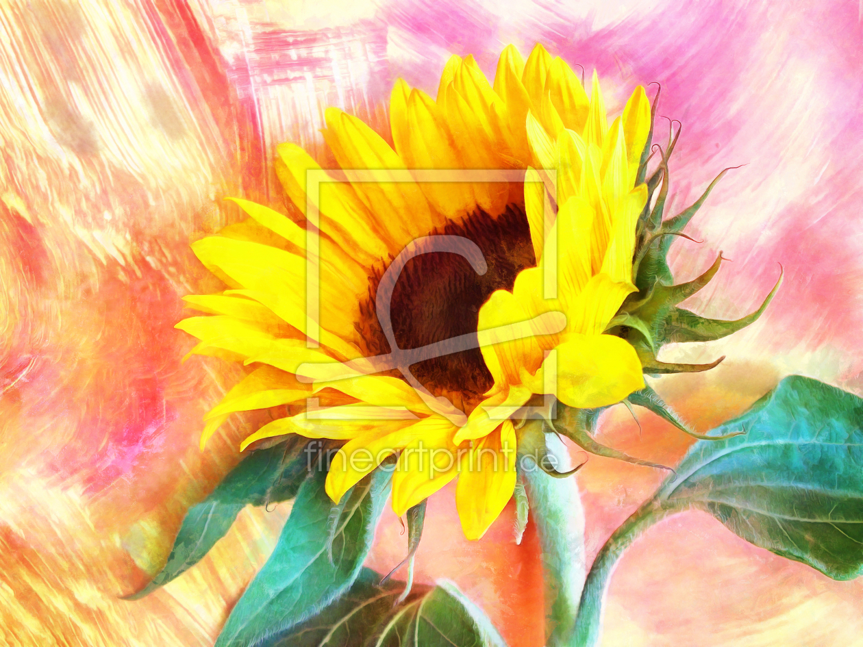 Bild-Nr.: 11561450 Sonnenblume erstellt von Darlya