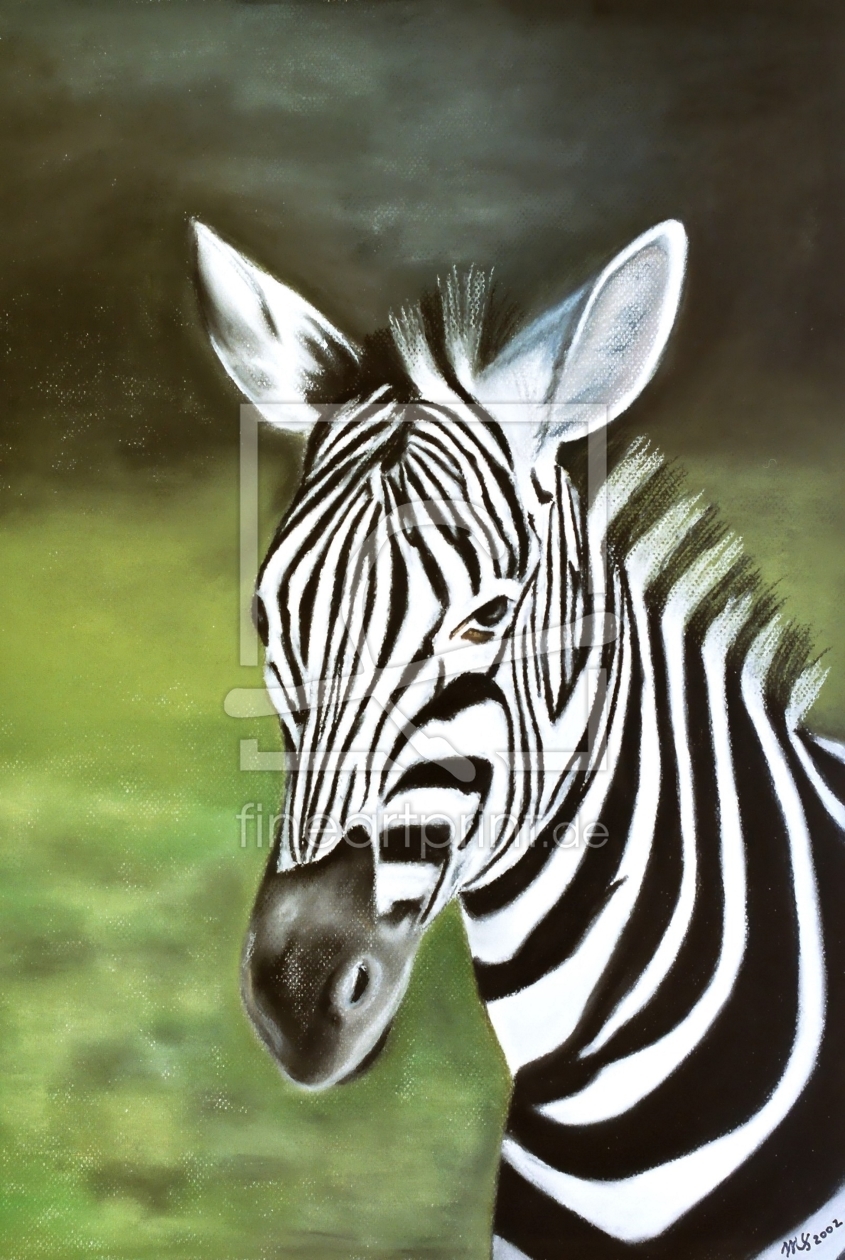 Bild-Nr.: 11561506 Zebra erstellt von MoNoir